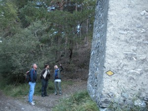 Wanderung Teiche im Pfynwald