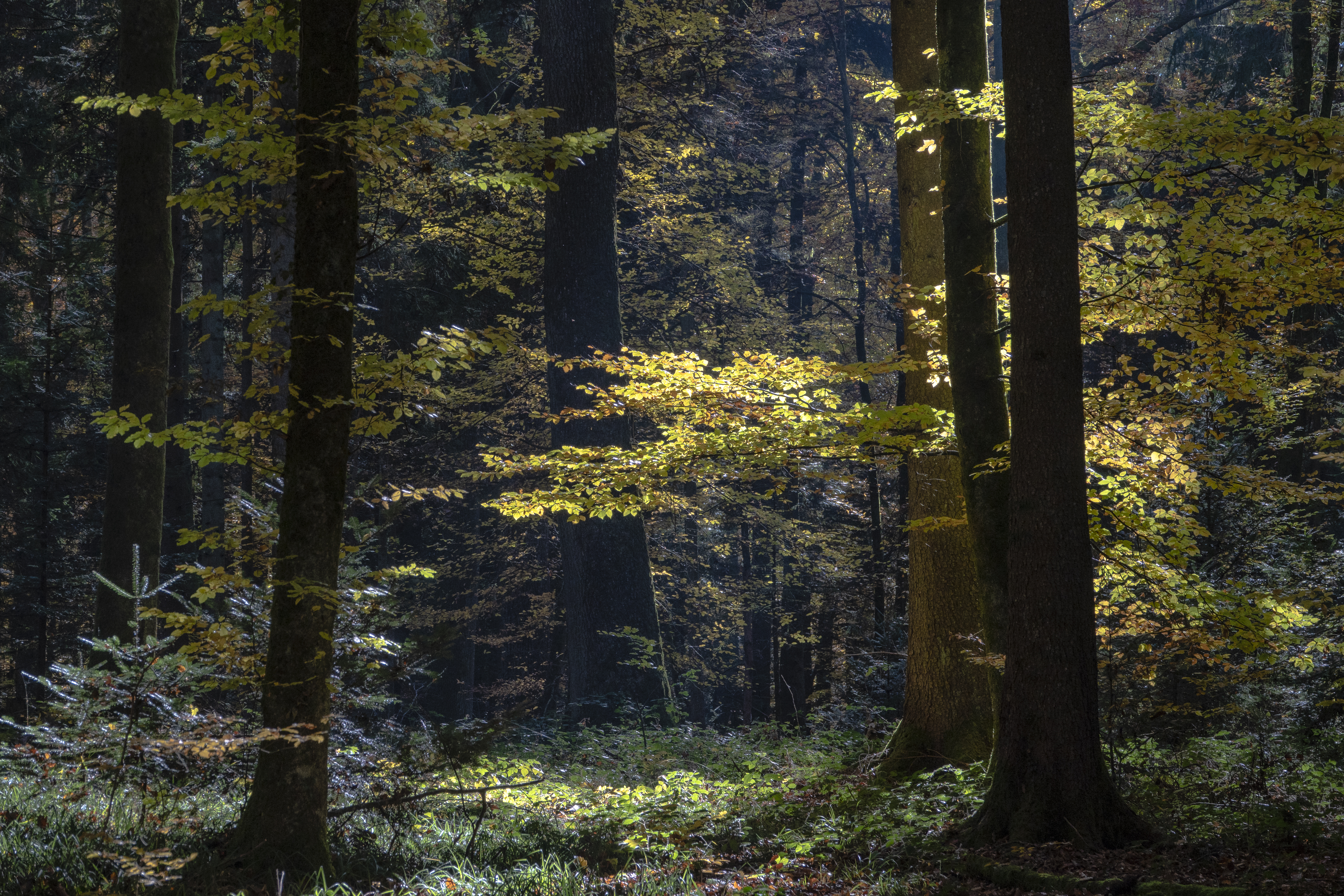 Natur-Fotoexkursionen