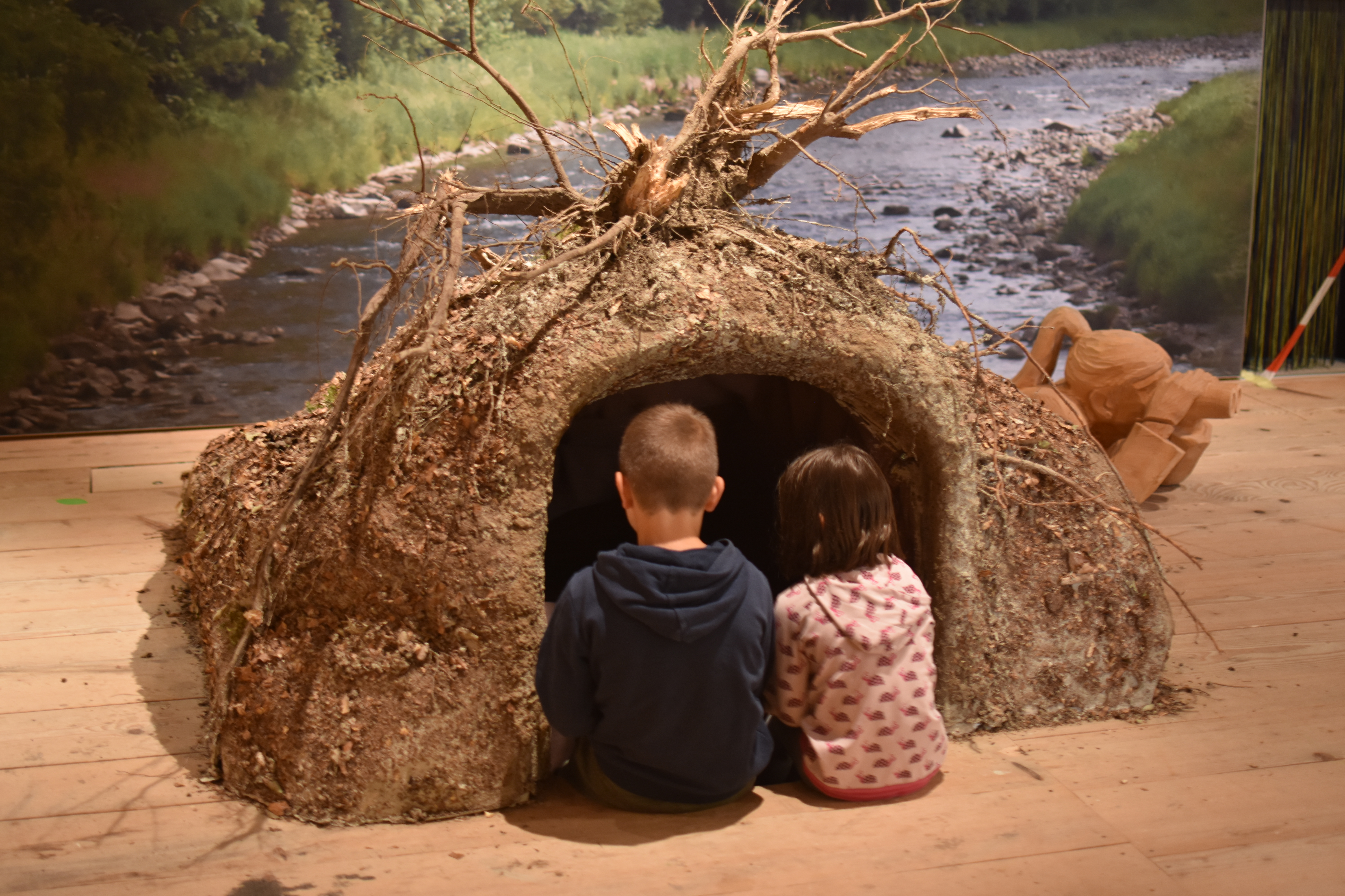 Ausstellung «WaldWildnisWir»