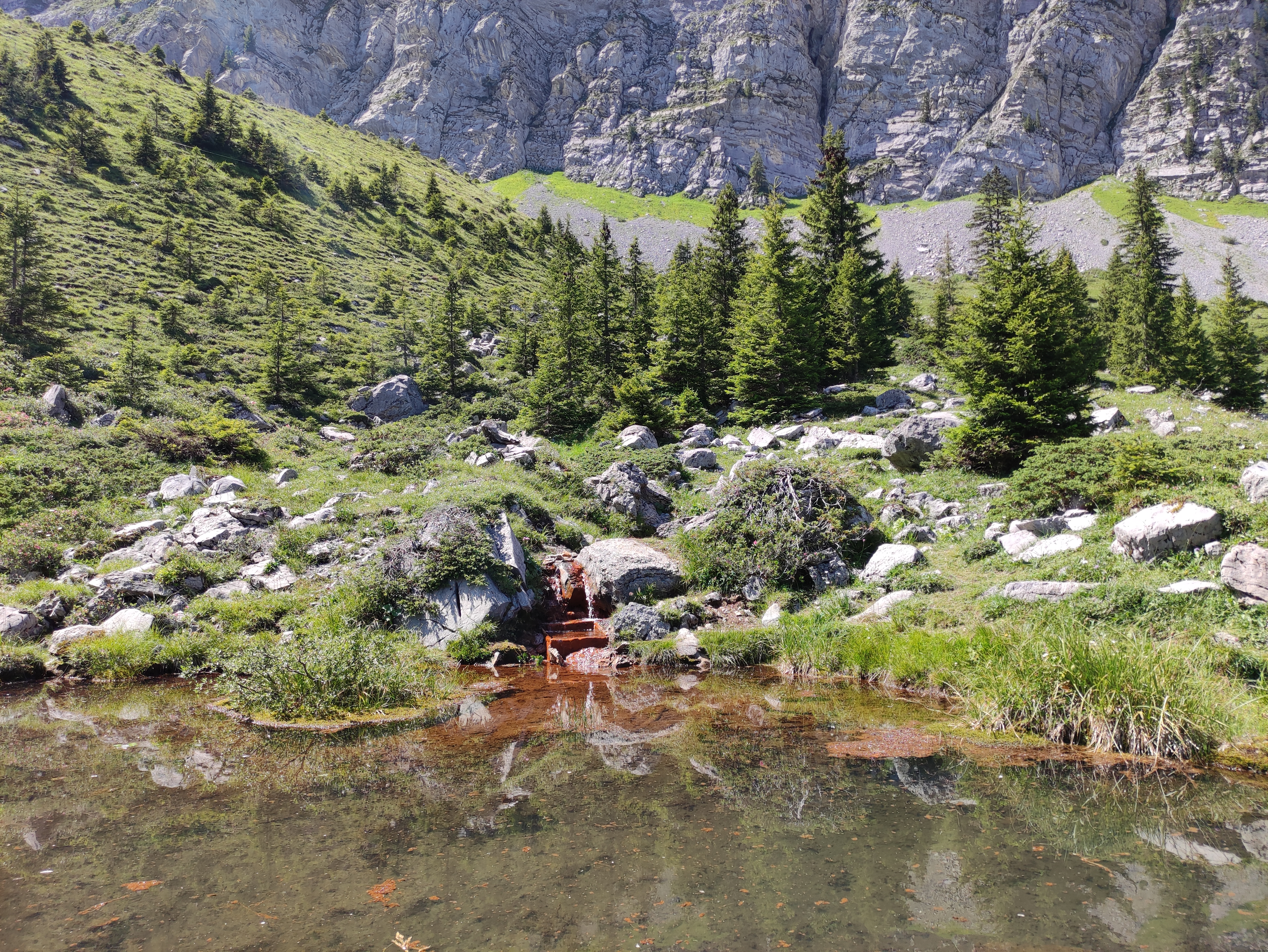 Kraftort Grimmiwasser
