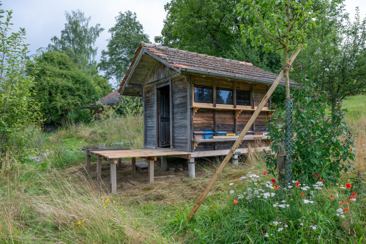 Übernachten im Bienenhaus