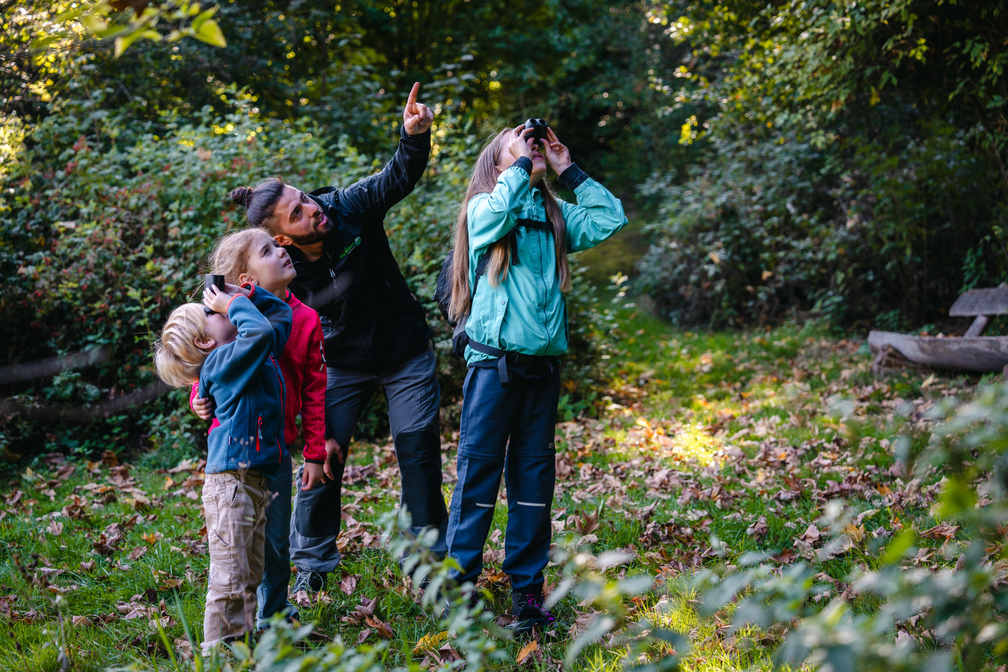 Hör mal, wer da hämmert: Biodiversität am Beispiel Specht