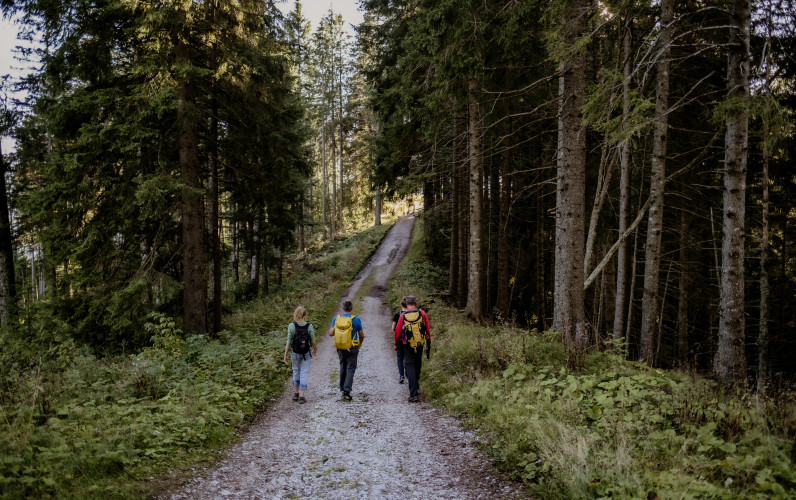 Balance & Wandern - Wochenende im Naturpark Gantrisch