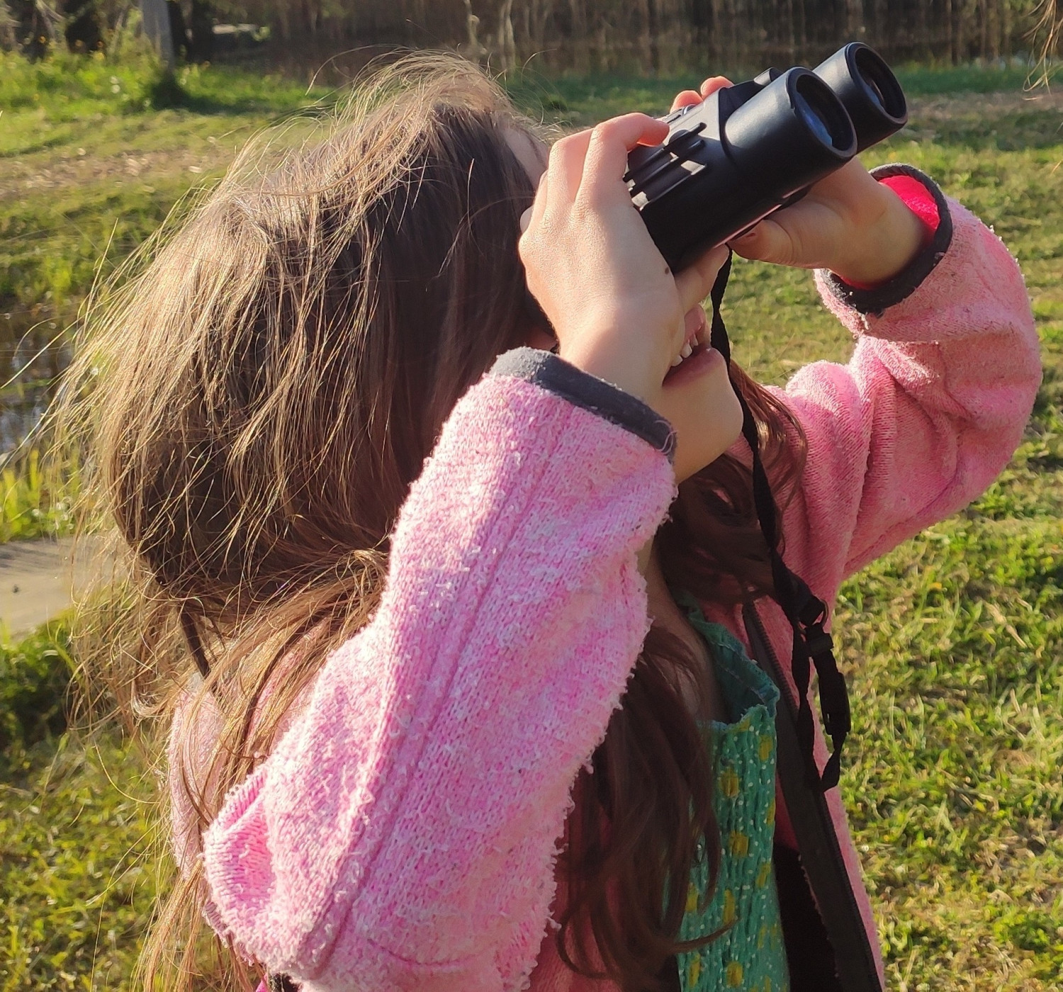 Hör mal, wer da hämmert: Biodiversität am Beispiel Specht