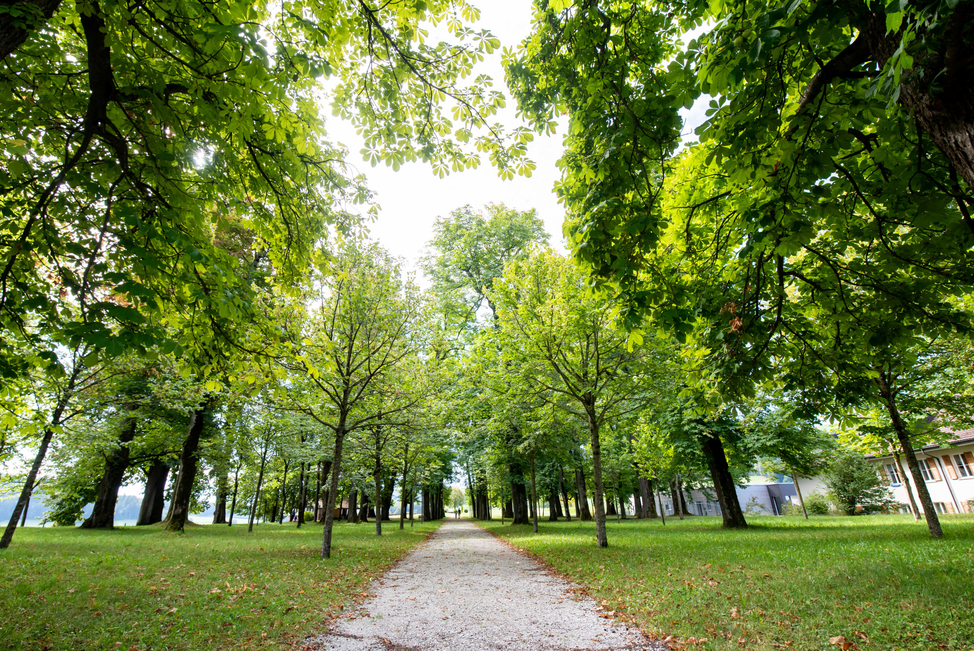 Natur.Klima.Psyche – interaktiver Vortrag im Schlossgarten