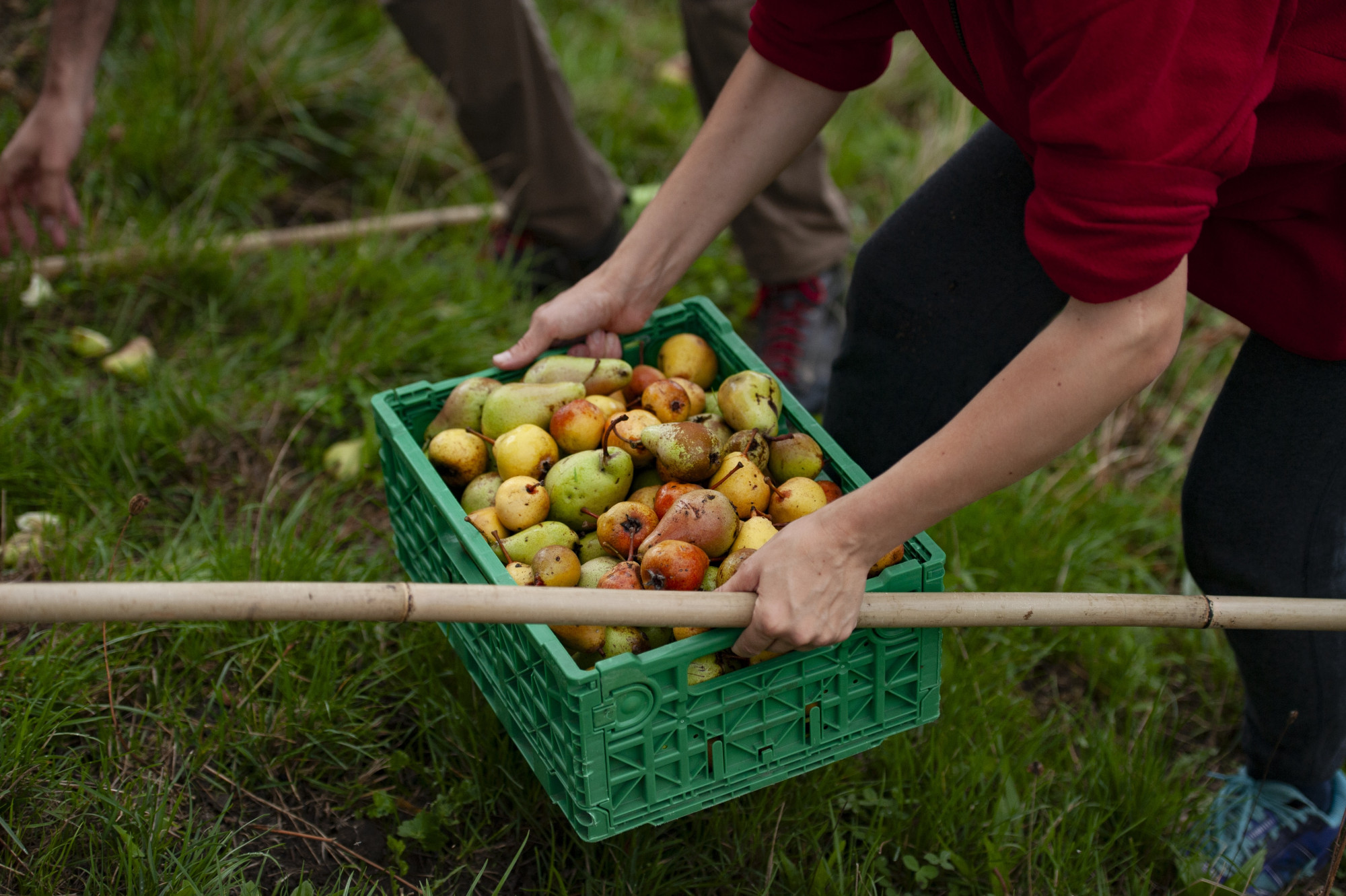 Agence Quart d'heure