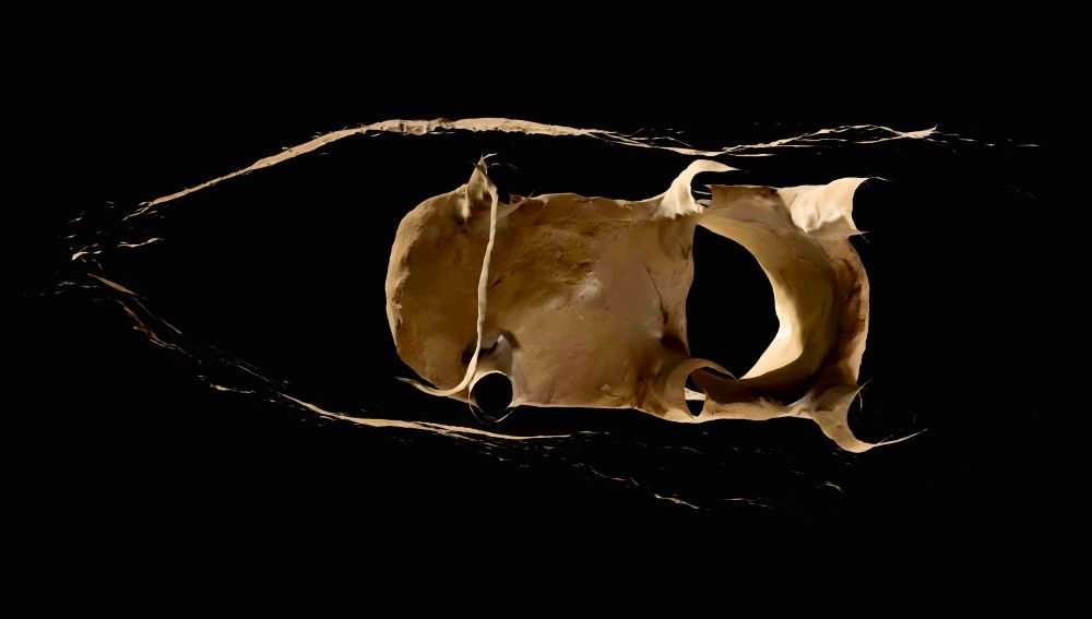 Kunstausstellung im Schloss Schwarzenburg