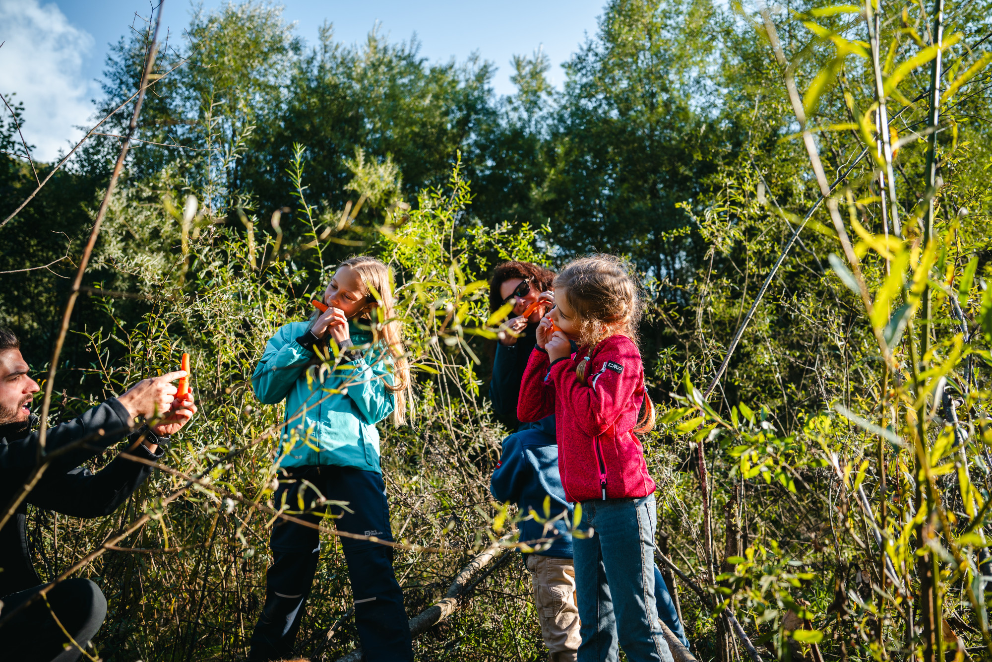Baumeister Biber – Spurensuche am Gewässer