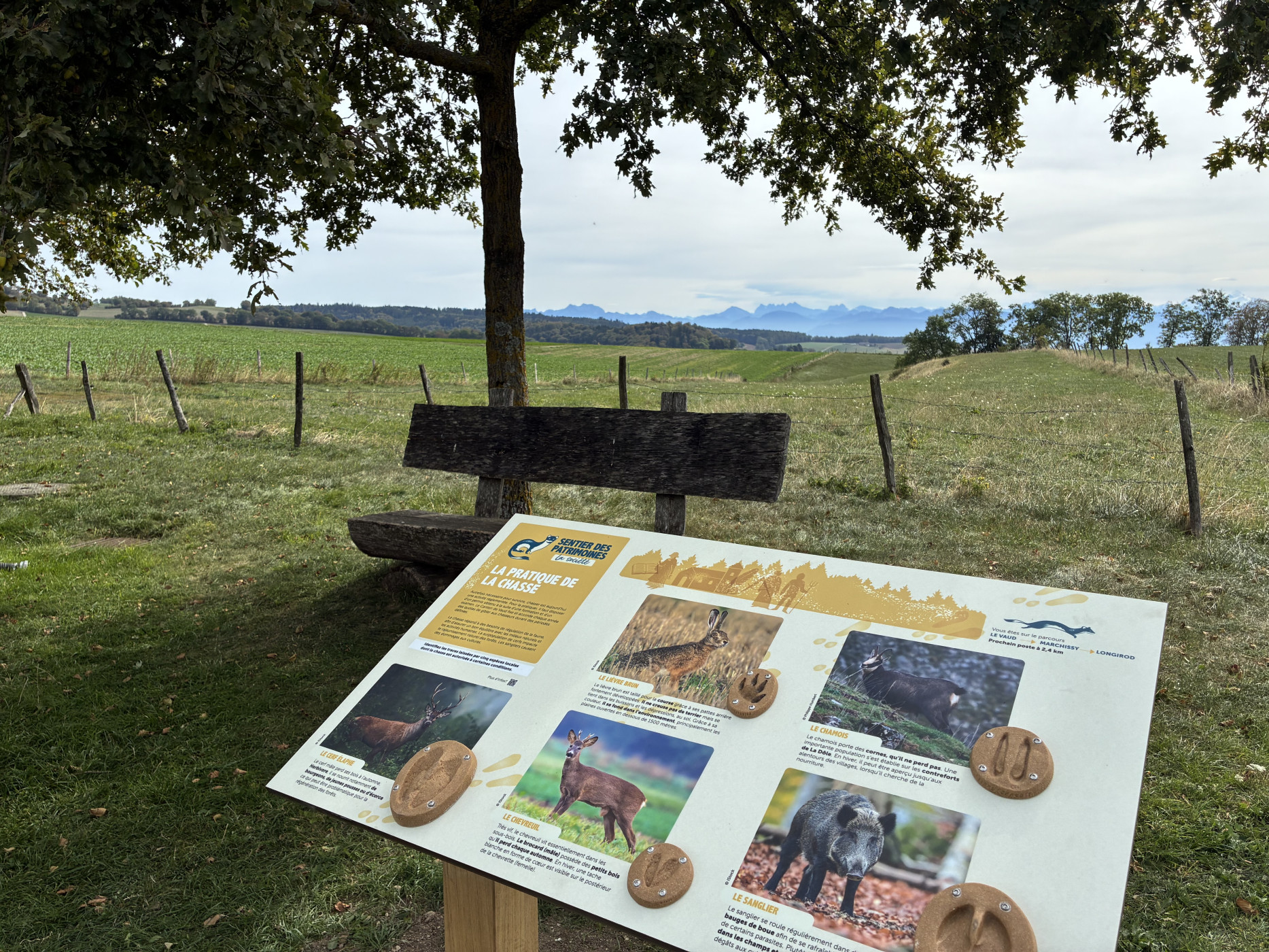Parc Jura vaudois
