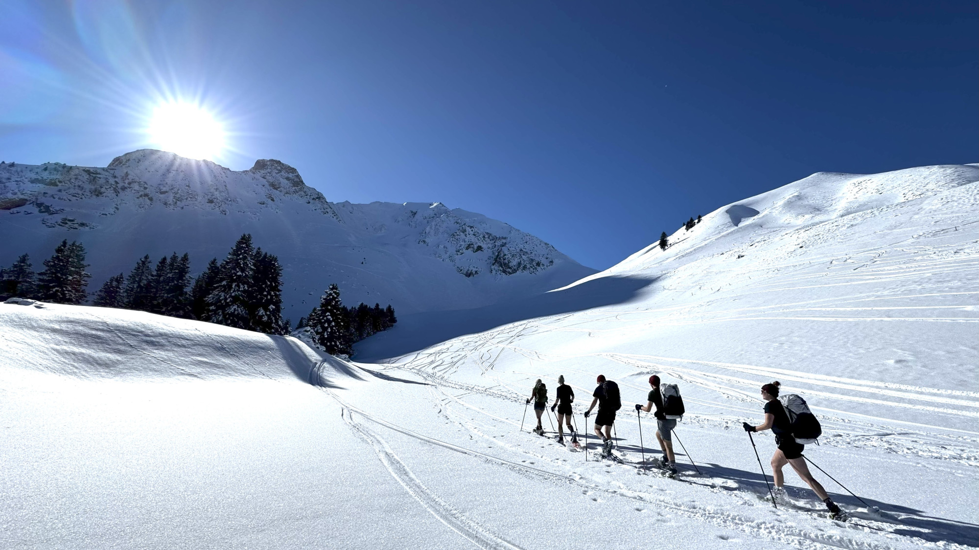 Alpine Resilience Walk - Randonnée en raquettes et expérienc
