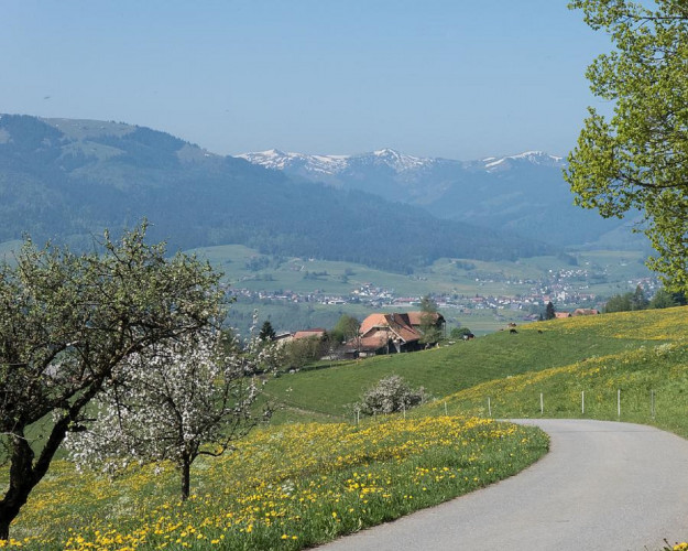 Alpenpanorama-Weg