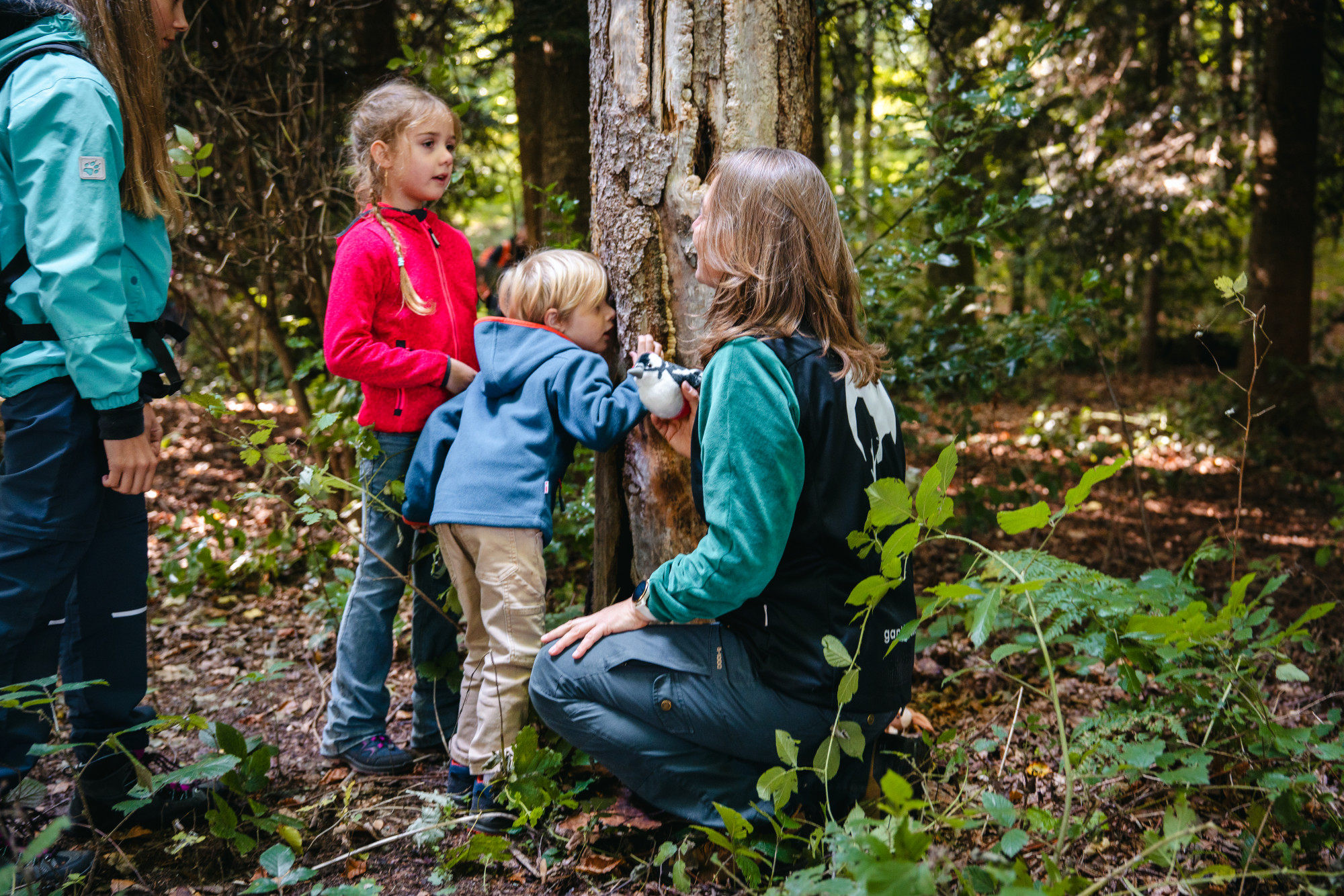 Hör mal, wer da hämmert: Biodiversität am Beispiel Specht