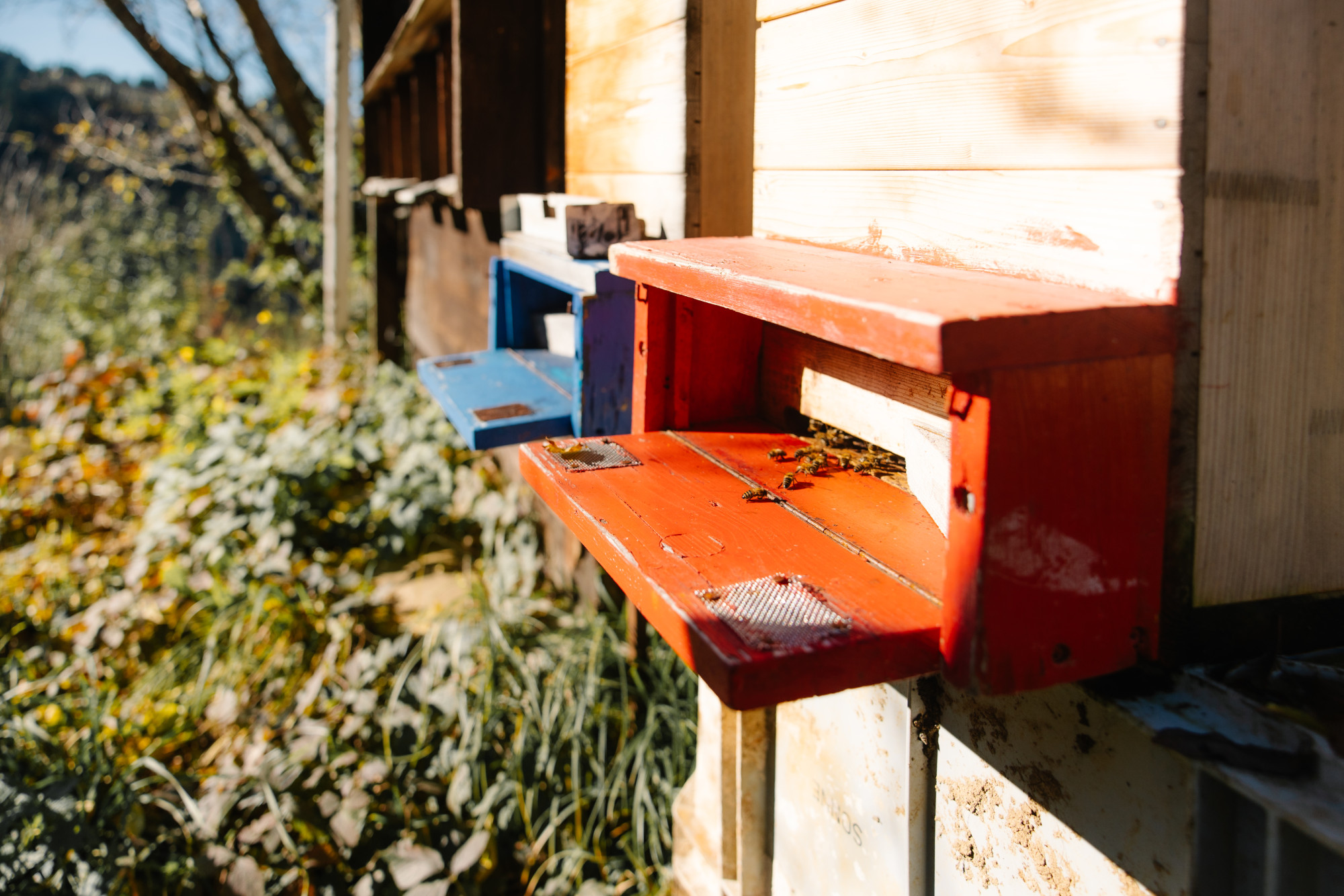 Naturkreislauf Stampferli