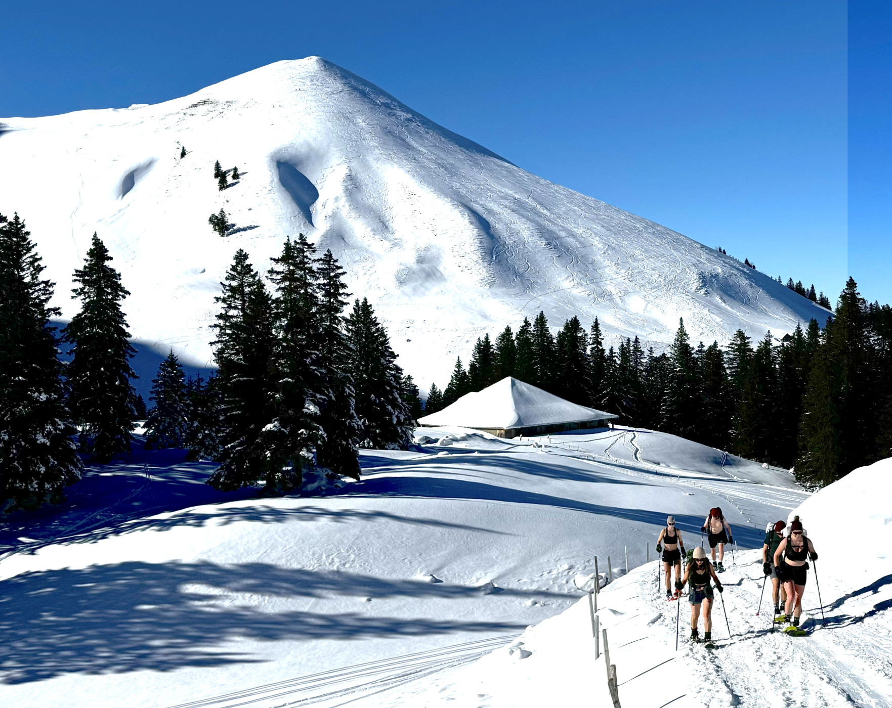 Alpine Resilience Walk - Randonnée en raquettes et expérienc