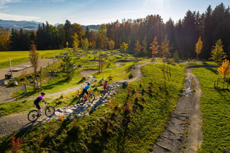 Swiss Bike Park Oberried