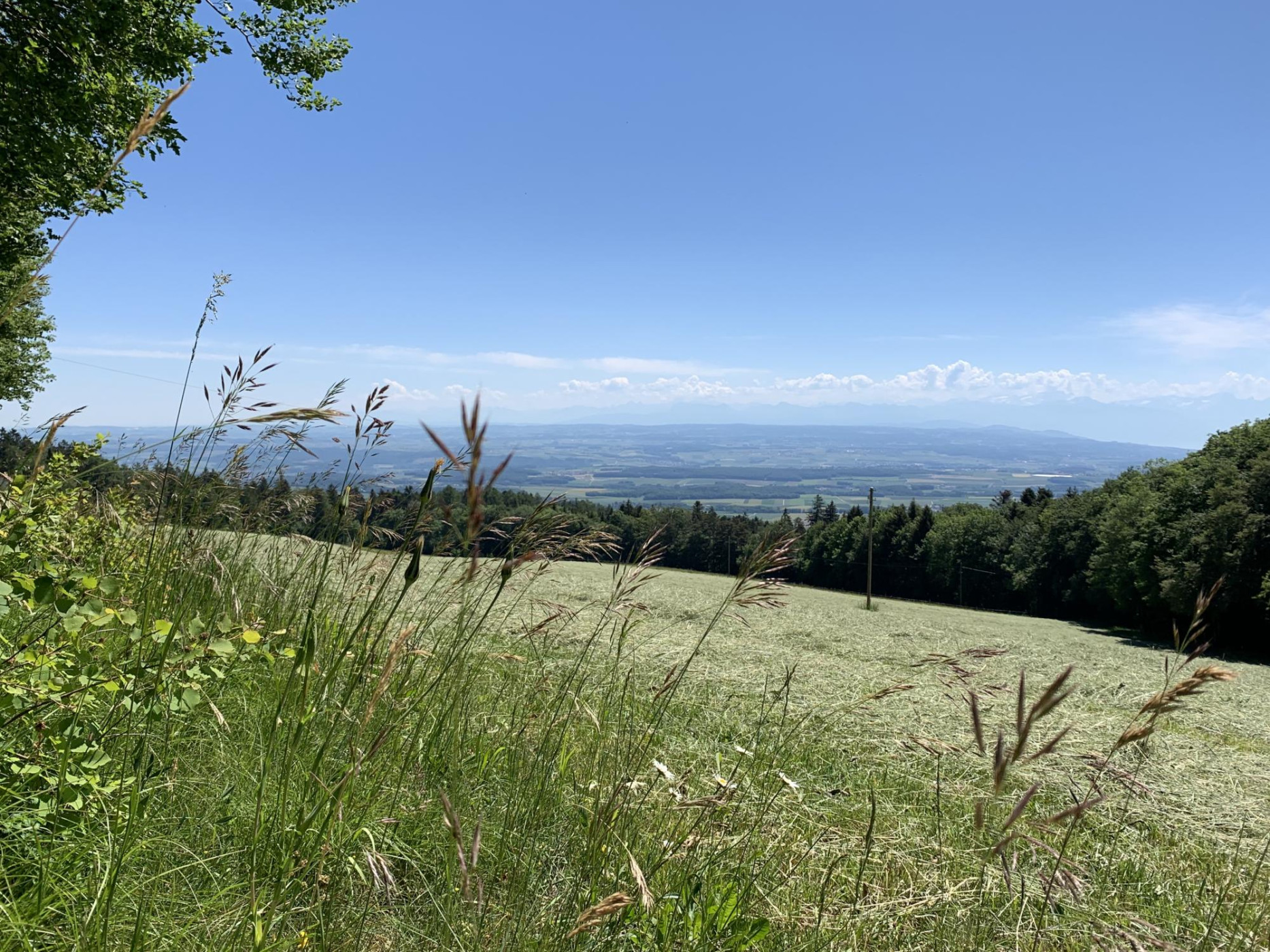 Morges Région Tourisme