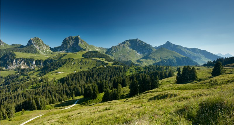 Drei Pärke Tour - Geschichten von Alpen, Käse & Kuhmist