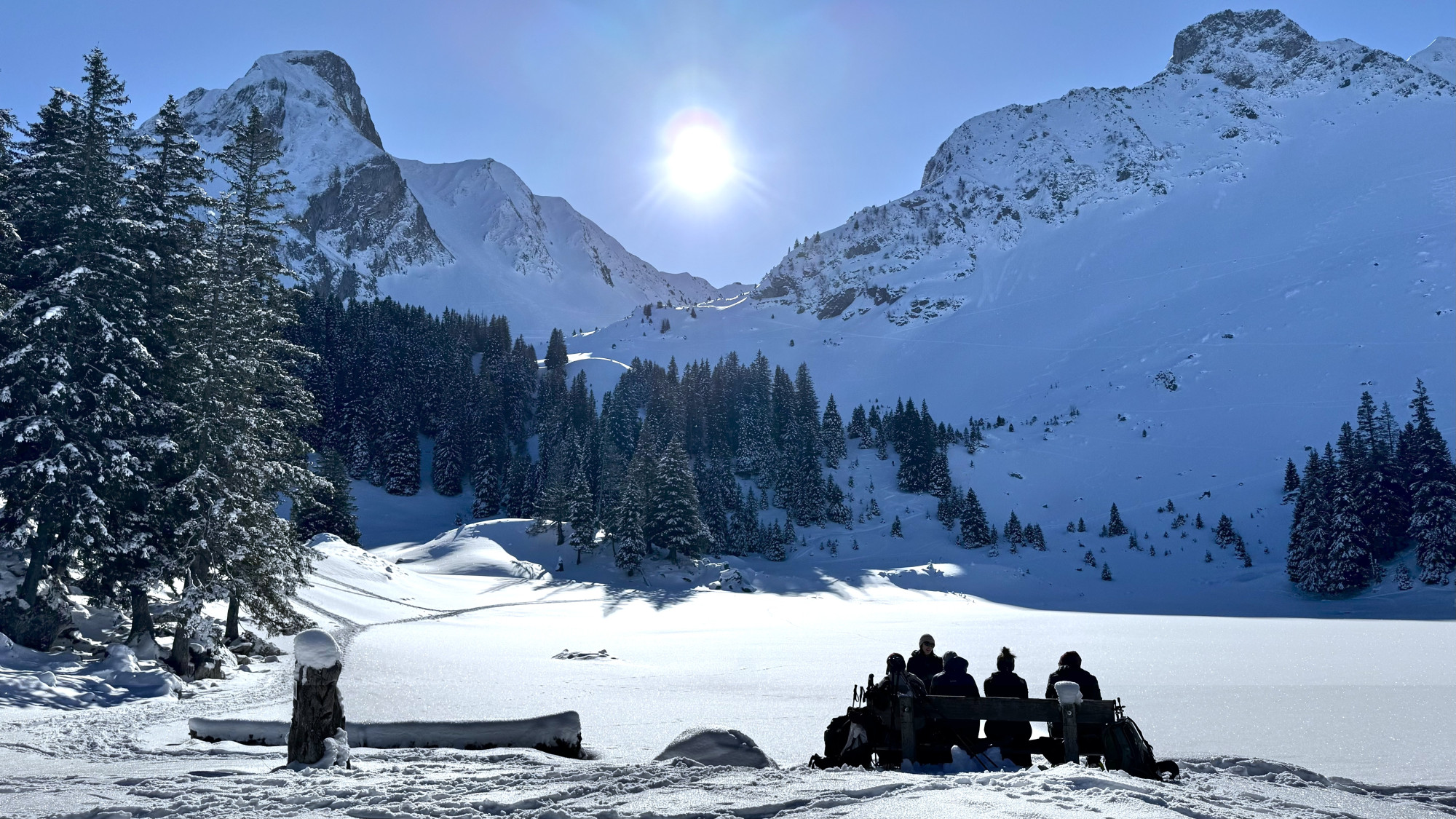 Alpine Resilience Walk - Randonnée en raquettes et expérienc