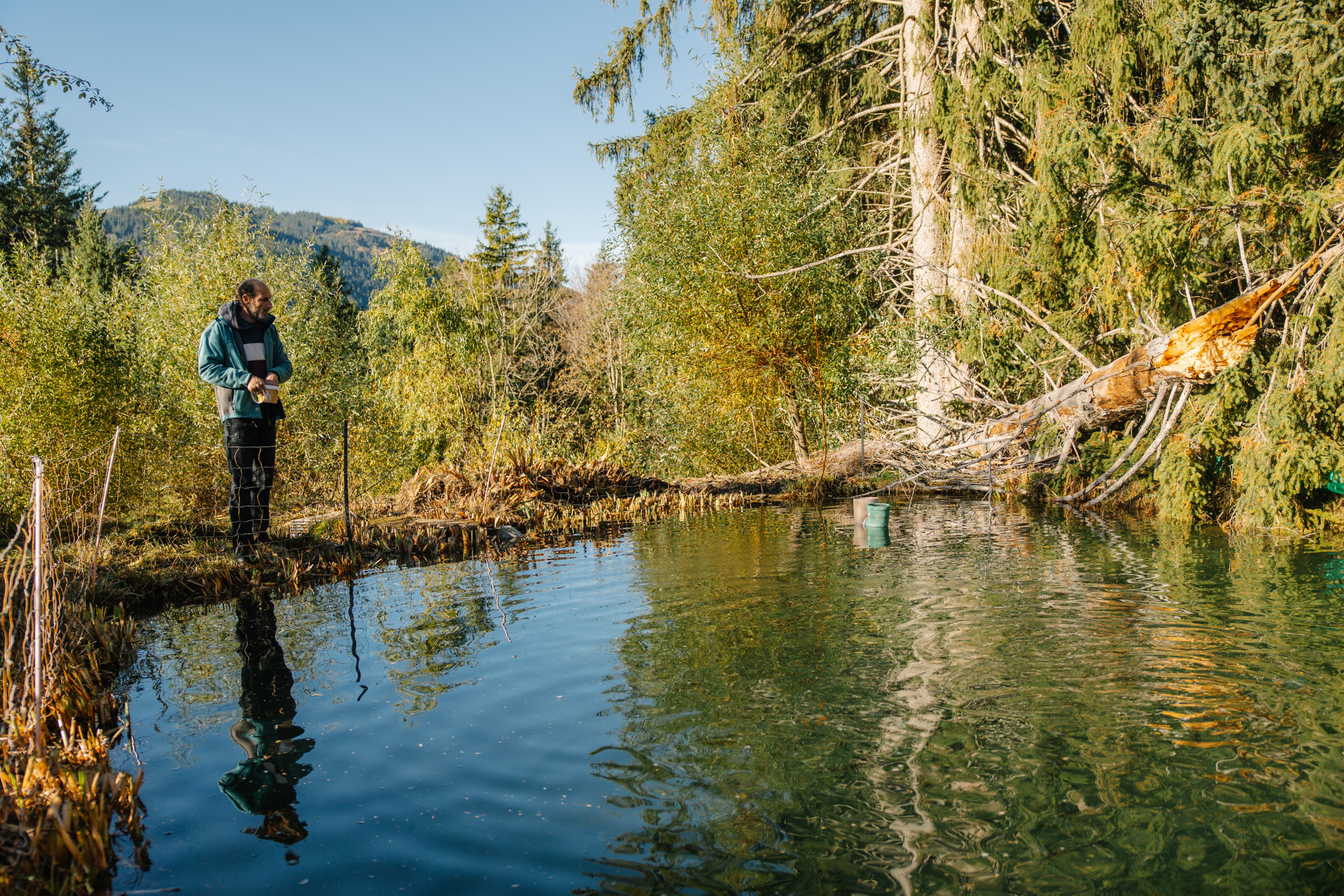Naturkreislauf Stampferli