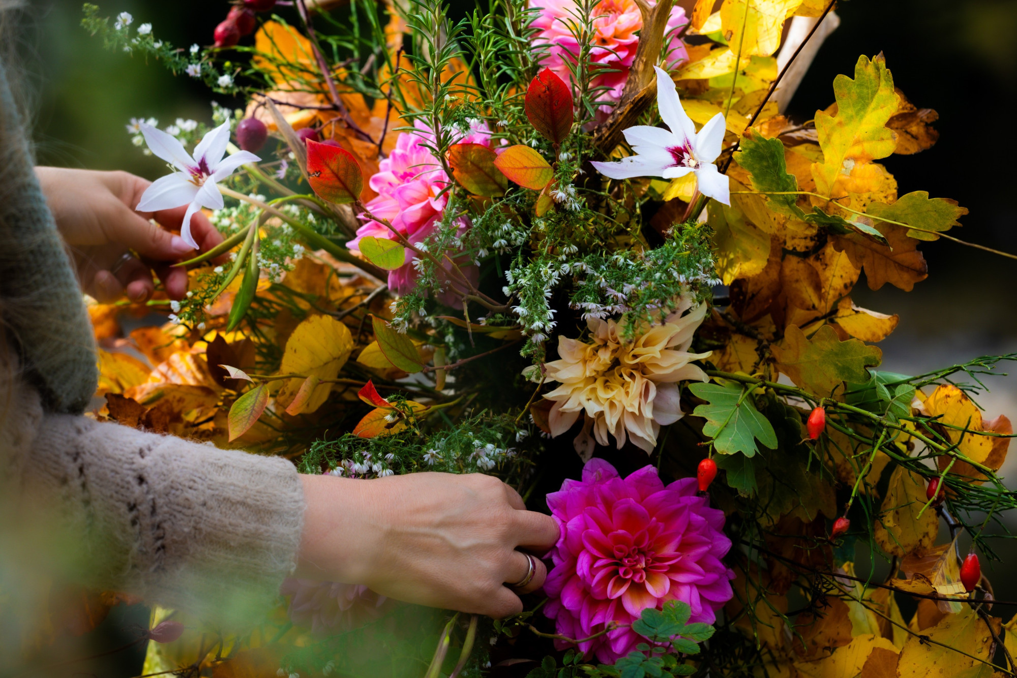 Les murmures de la nature – Retraite de pleine conscience