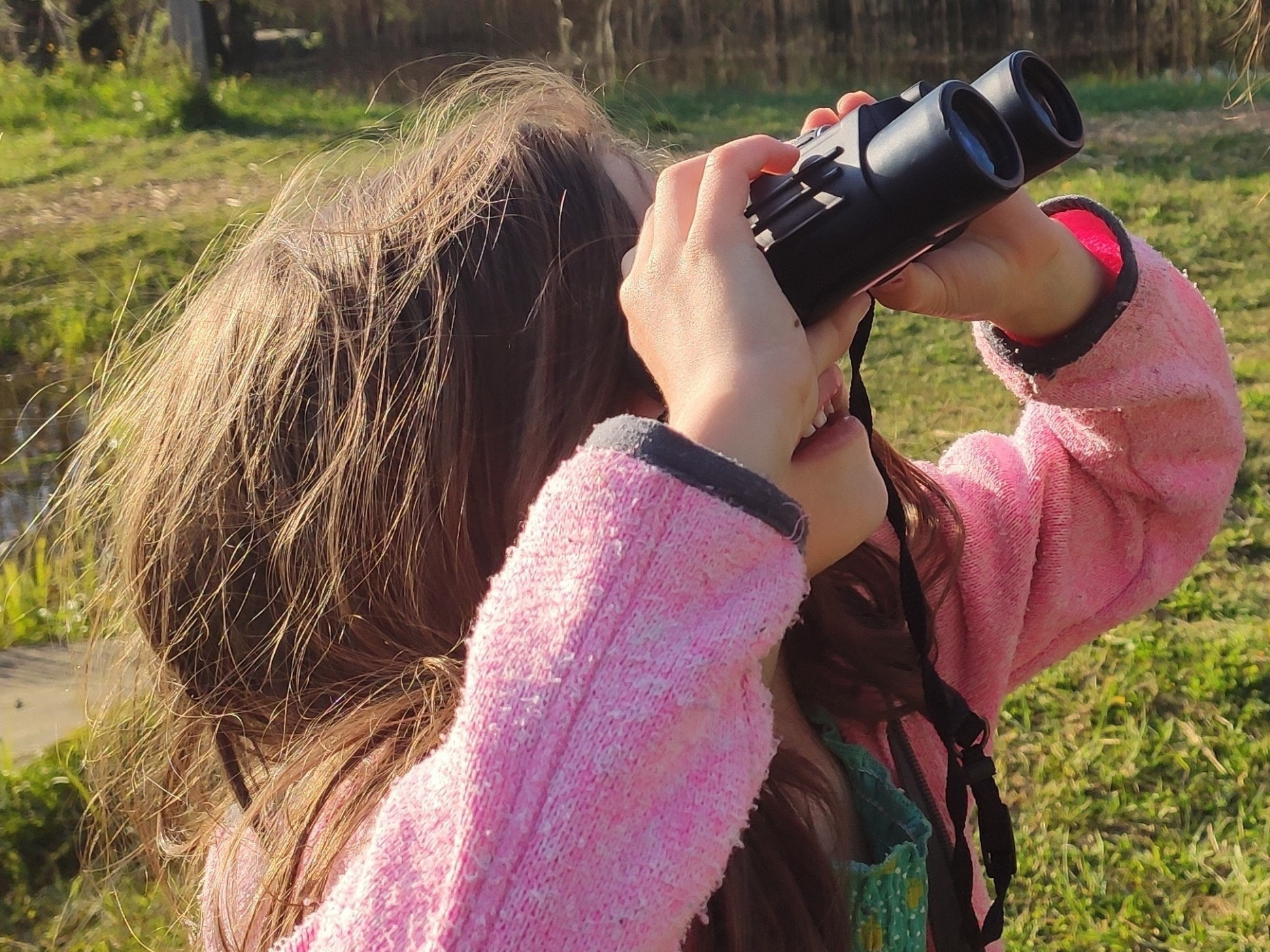 Hör mal, wer da hämmert: Biodiversität am Beispiel Specht
