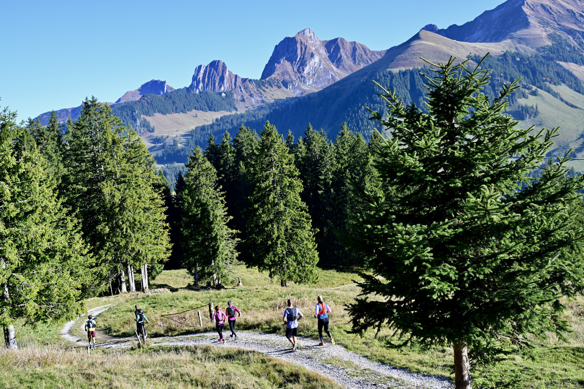 Trail & Brunch – Trailrunning auf dem Gurnigel