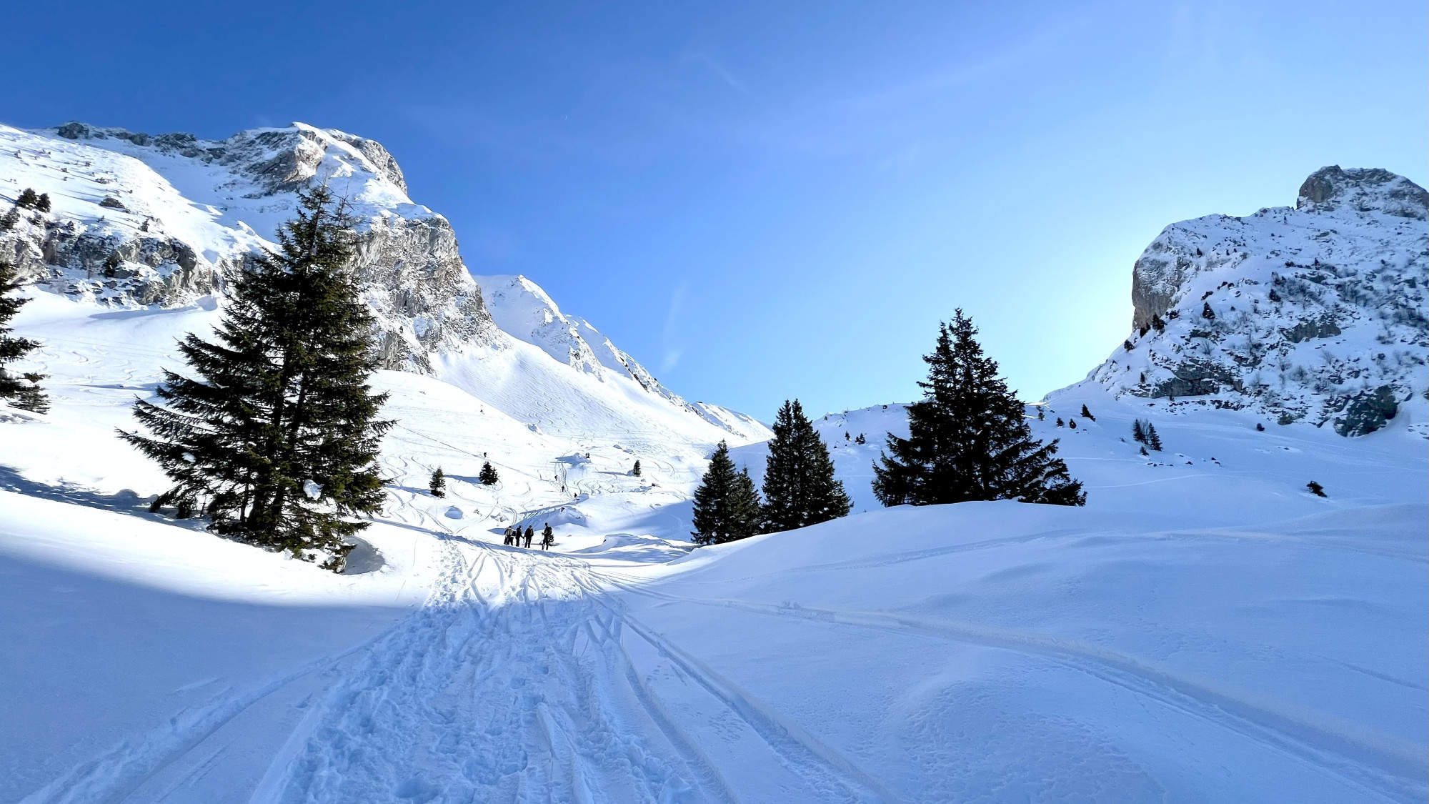 Alpine Resilience Walk - Randonnée en raquettes et expérienc