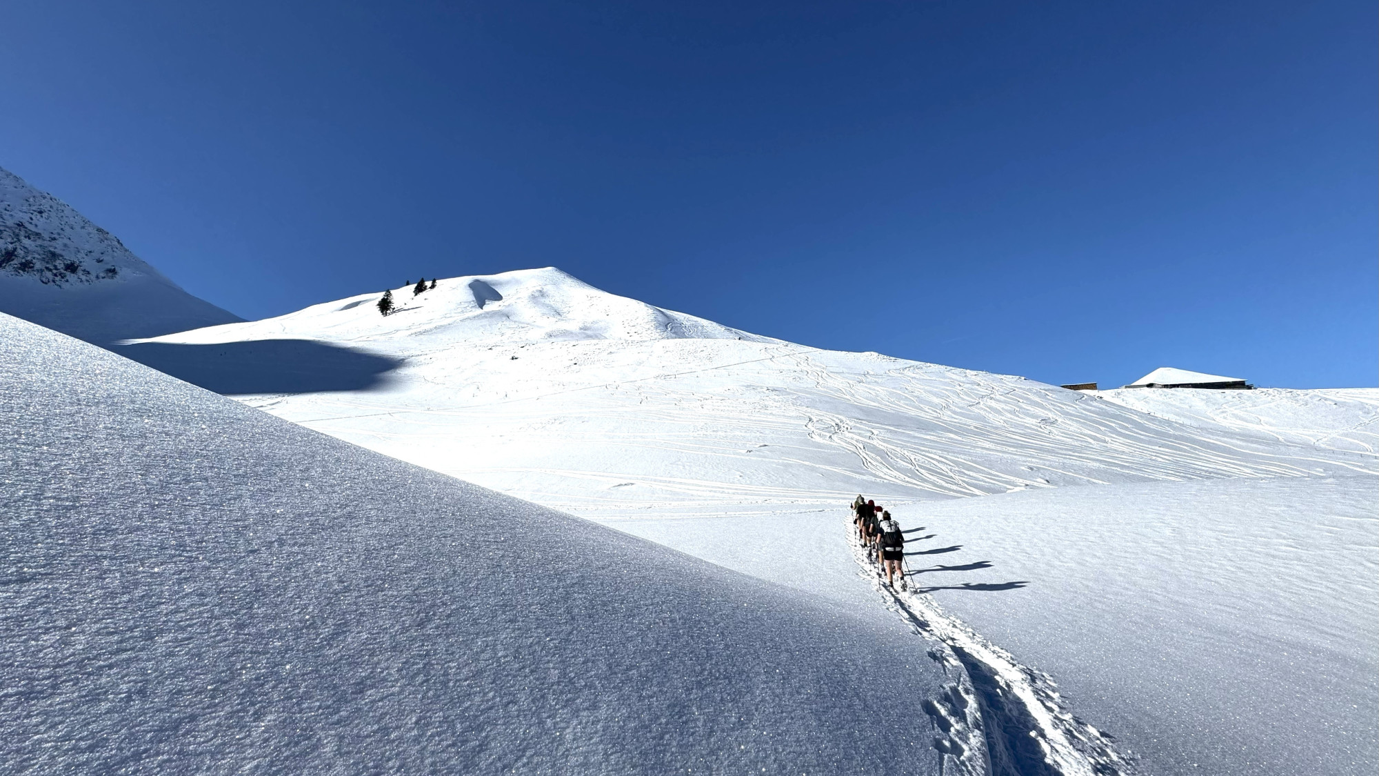 Alpine Resilience Walk - Randonnée en raquettes et expérienc