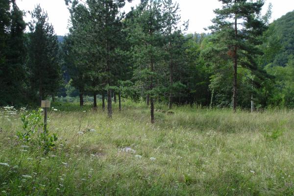 Kienberger Wanderwege - Route 5 - © Jurapark Aargau