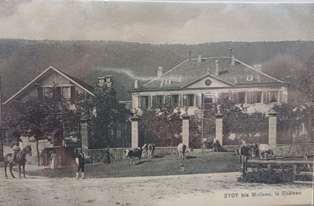 Commune de Mollens