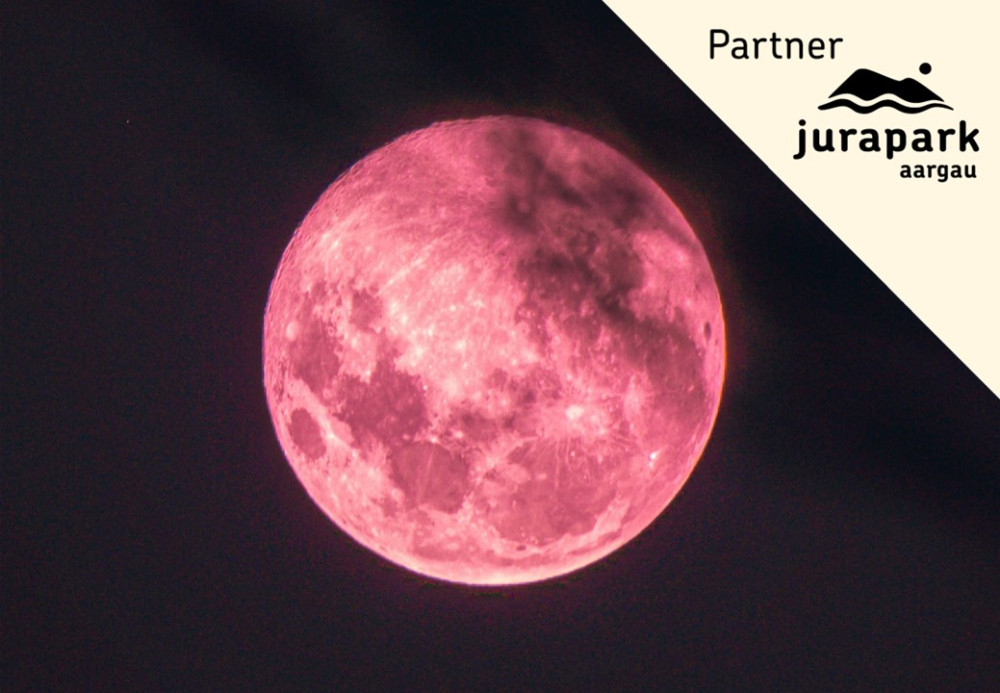 Pink Moon - Ladys Night - © Stephanie Lieb