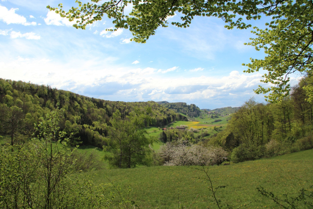 Wanderquiz Saalhöhe - © Jurapark Aargau