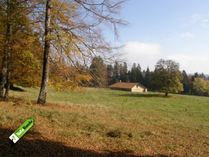 Le sentier du coq, Marchissy