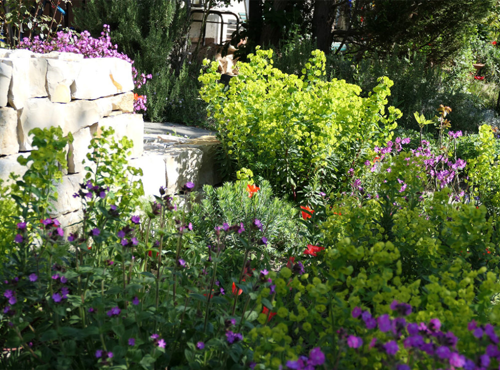 Wölflinswil: Setzholz - Gartenbau - © setzholz.ch