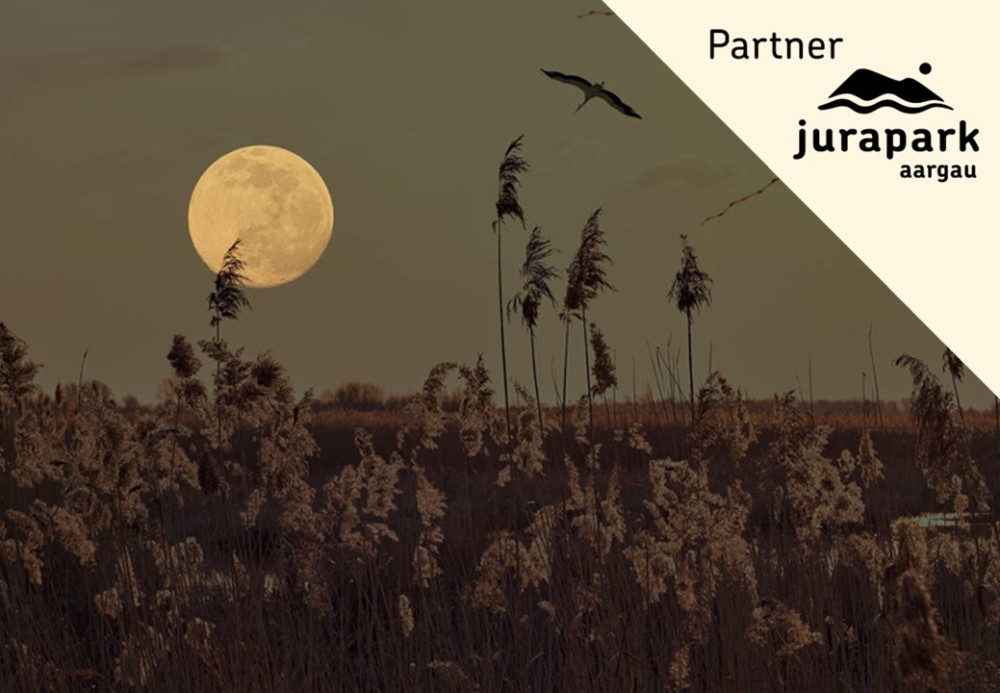 Thunder Moon - Ladys Night - © Stephanie Lieb