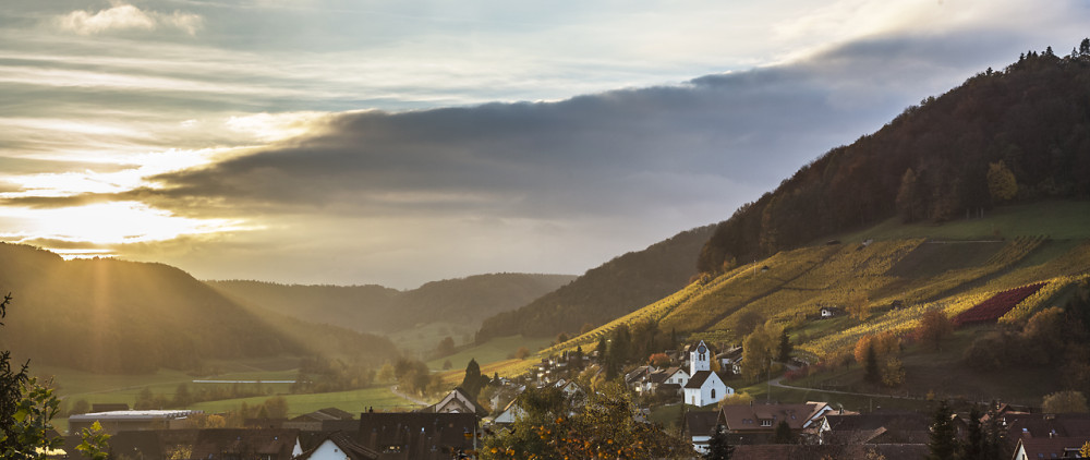 Rebberg- und Naturwanderweg (Rebbergroute) - &copy; Weinbau Hartmann