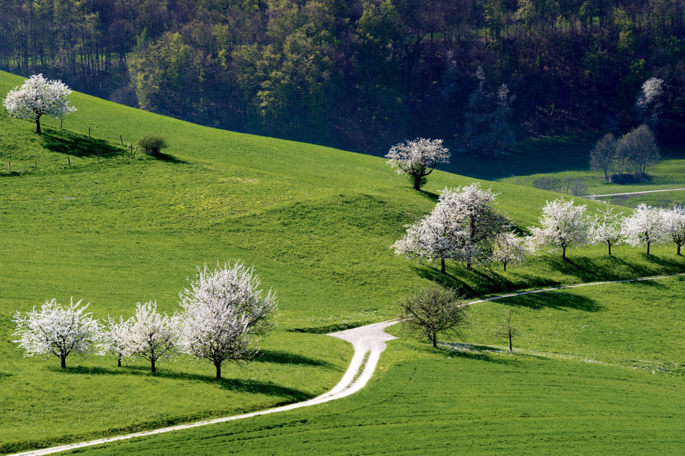 Mandacher Bänklirundweg - © Renato Bagattini, Renato Bagattini