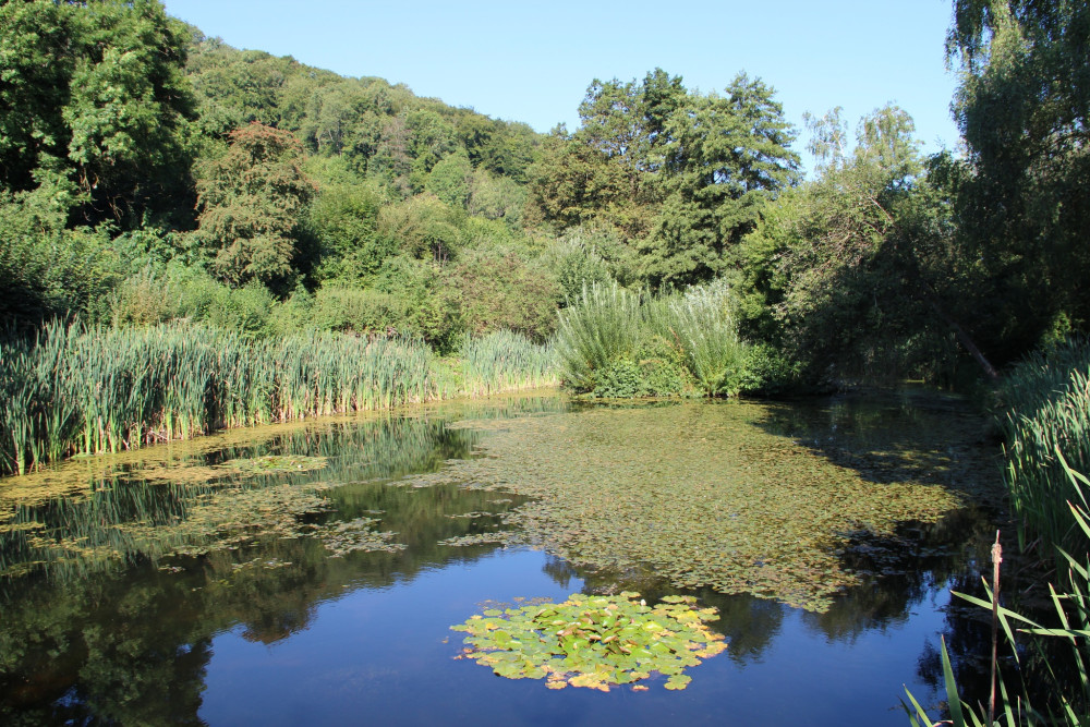 Spur zur Natur: Panorama-Spur - © Jurapark Aargau