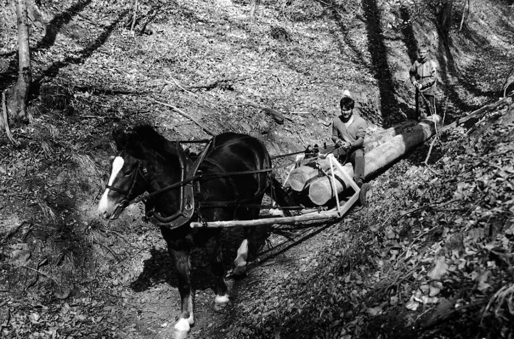 Historischer Rundweg - &copy; Pius Rupf / SL Druck + Media AG