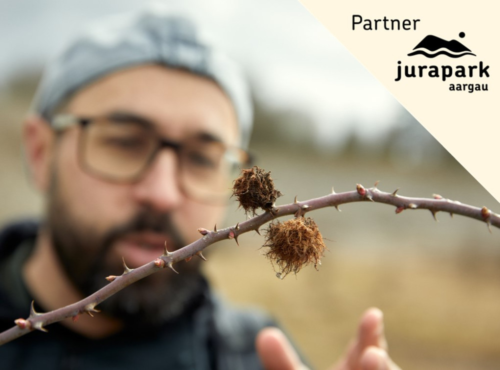 Insektenpirsch im Jurapark Aargau - für Erwachsene - © Timo Orubolo