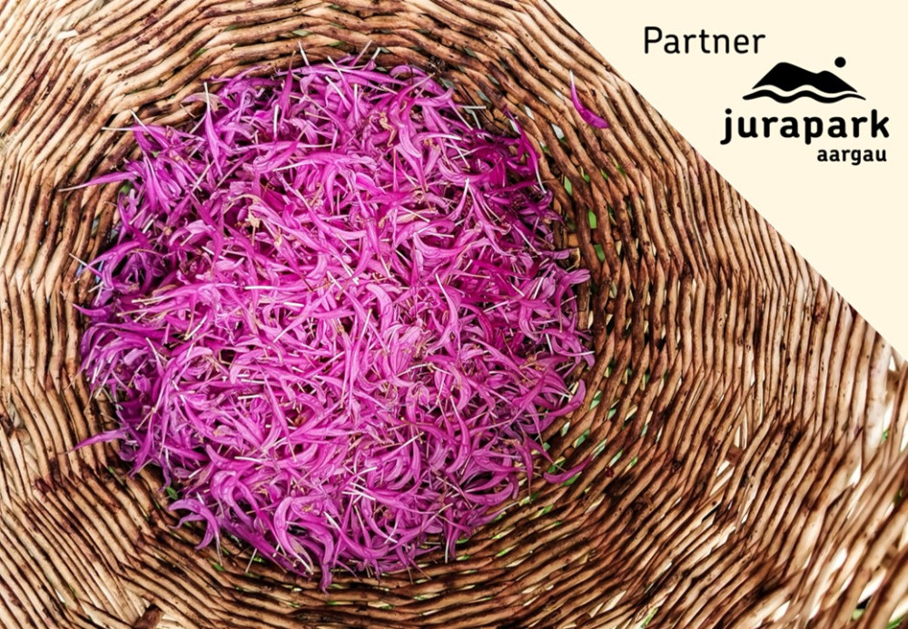 Arbeiten mit Pflanzenfarben - © Maja's Chrüterstübli