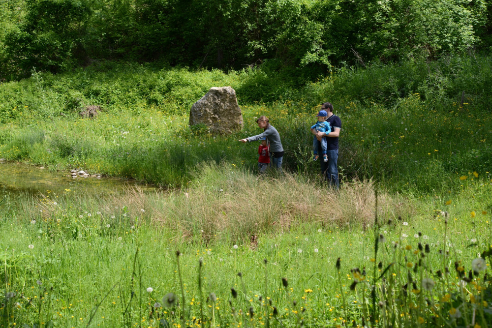 Oberhöfler Wanderwege: Glögglifrosch-Route (kurz) - &copy; Jurapark Aargau