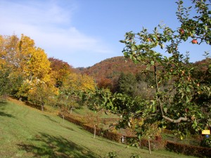 Parc Jura vaudois