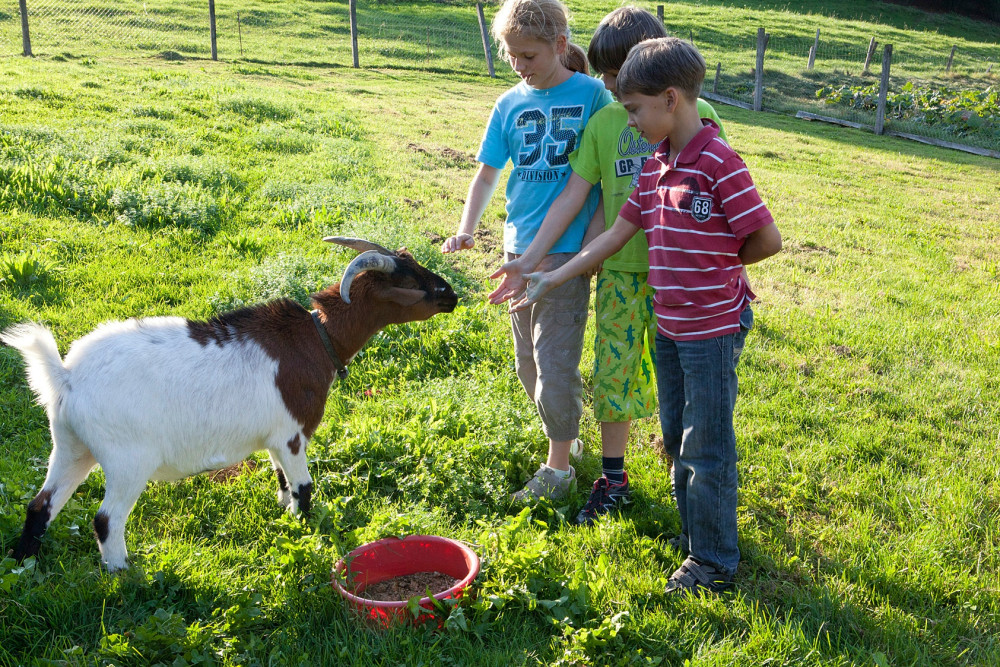 Familienwanderung zum Bauernhof - © Jurapark Aargau