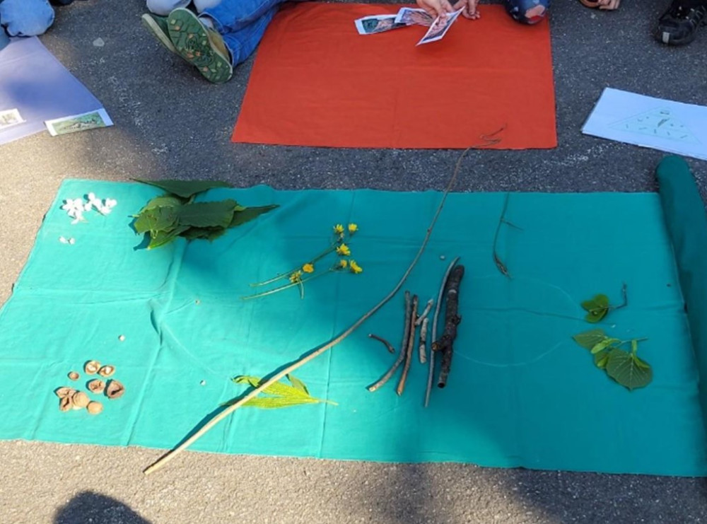 Vielfalt rund ums Schulhaus - © Jurapark Aargau