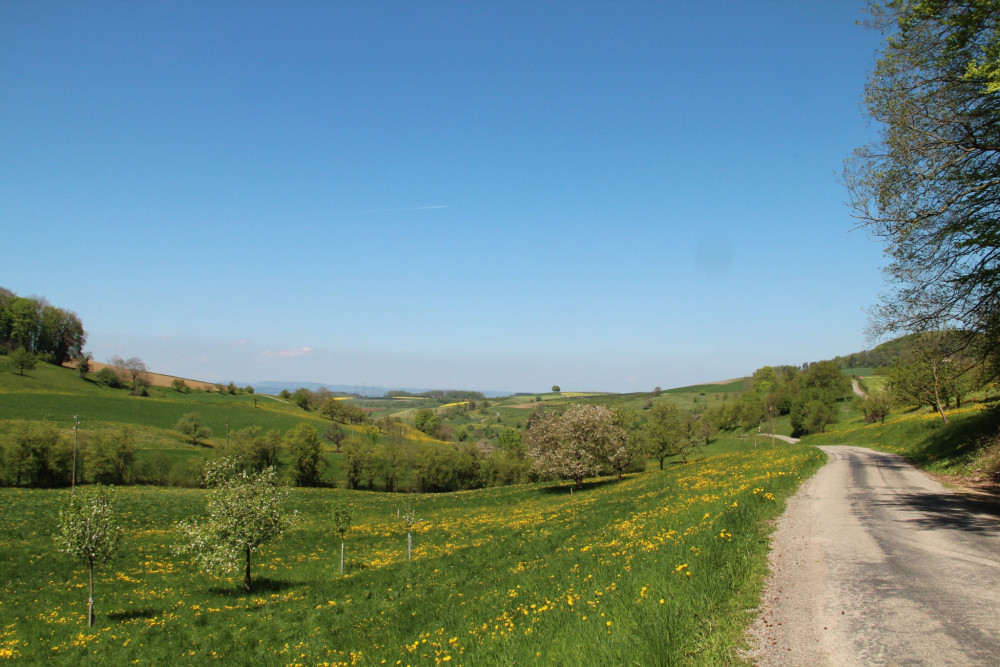Oberhöfler Wanderwege: Graumätteli/Burg-Route (kurz) - &copy; Jurapark Aargau, Jurapark Aargau