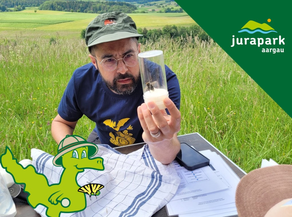 Perimuk-Abenteuer: Insektenpirsch - © Bähram Alagheband