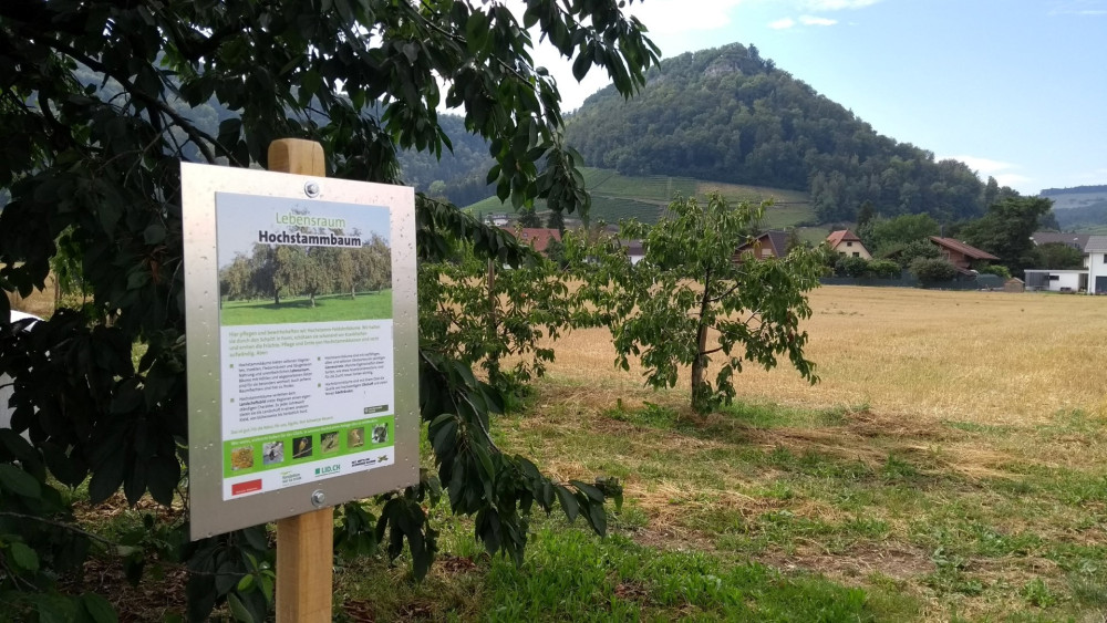 Landwirtschaftlicher Infopfad - &copy; Jurapark Aargau