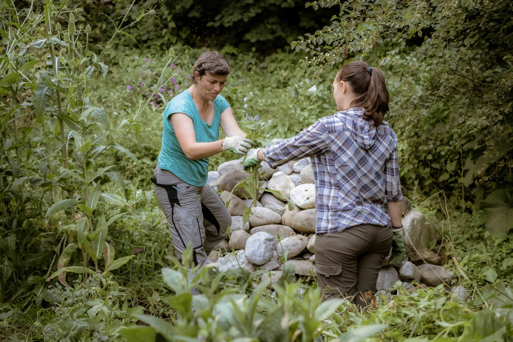 Frühlings-Gartenkurs in Wattenwil