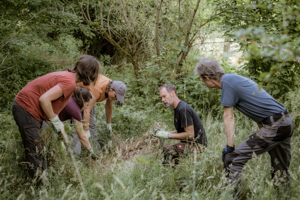 Frühlings-Gartenkurs in Kaufdorf